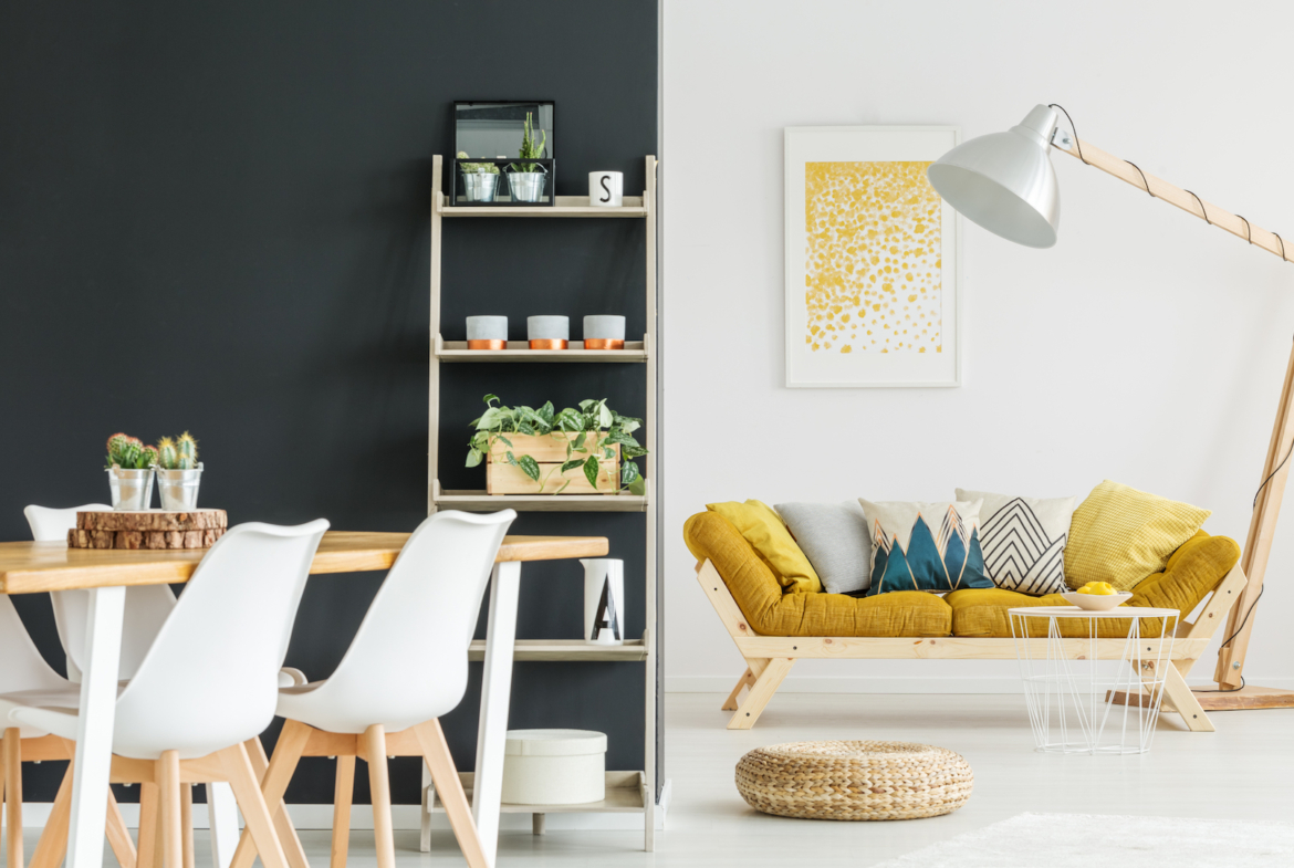 Plants on shelves