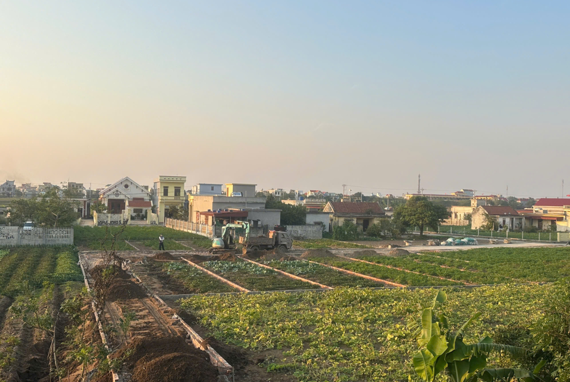 Lô đất vàng Quất lâm